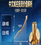 中文域名投资价值全面解析与未来发展趋势