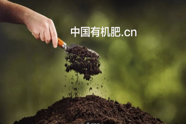 中国有机肥